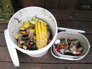 food scrap bucket