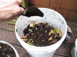 food pail compost